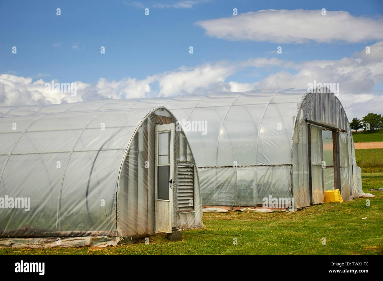 Farming farm greenhouse greenhouses hires stock photography and images