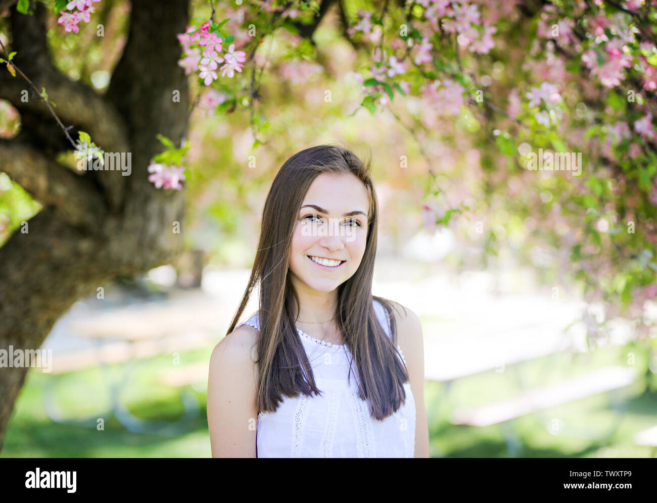 Woman brunette long hair hi-res stock photography and images - Alamy