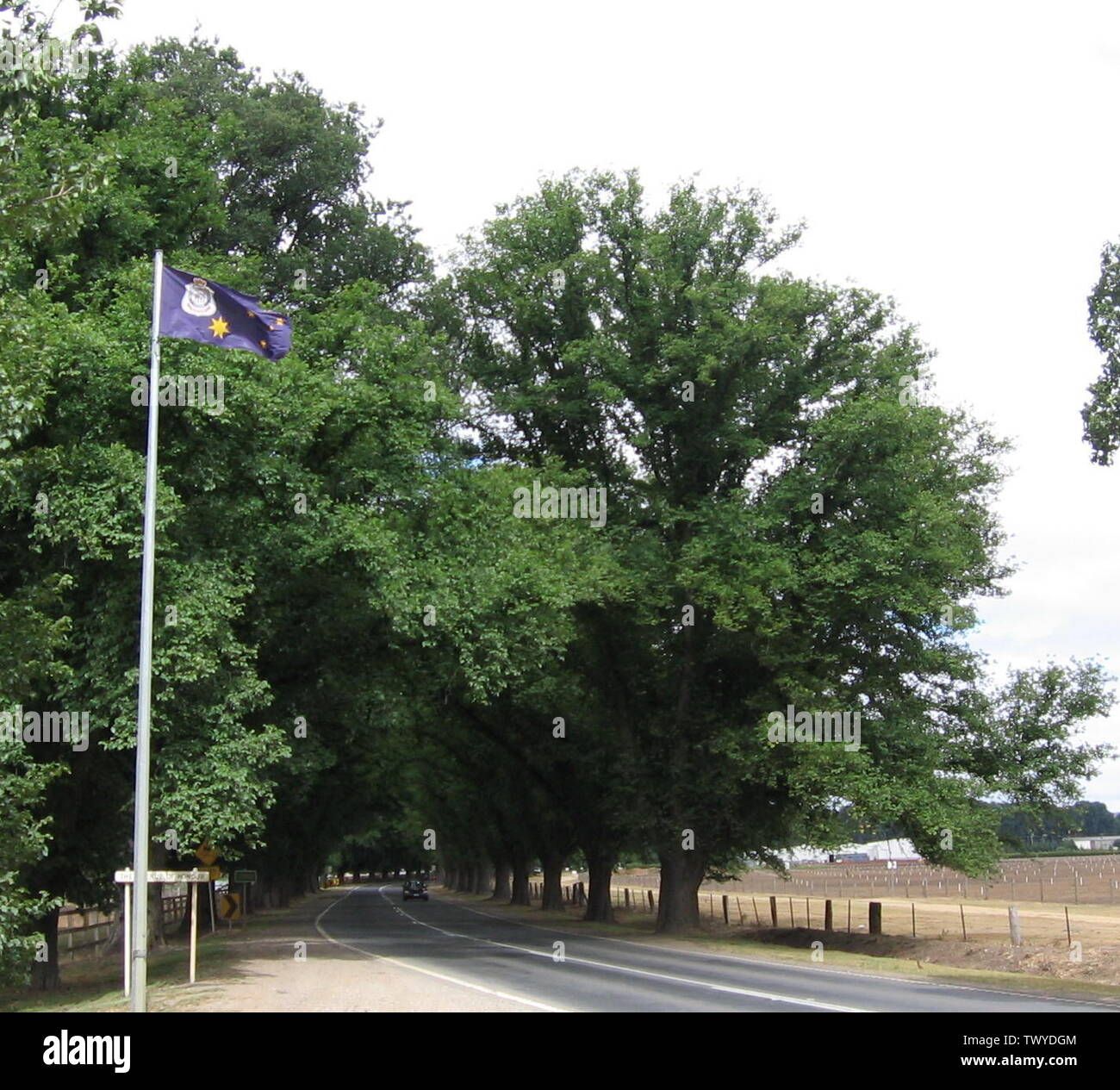 The Avenue of Honour, Bacchus Marsh, Victoria.; 28 December 2006