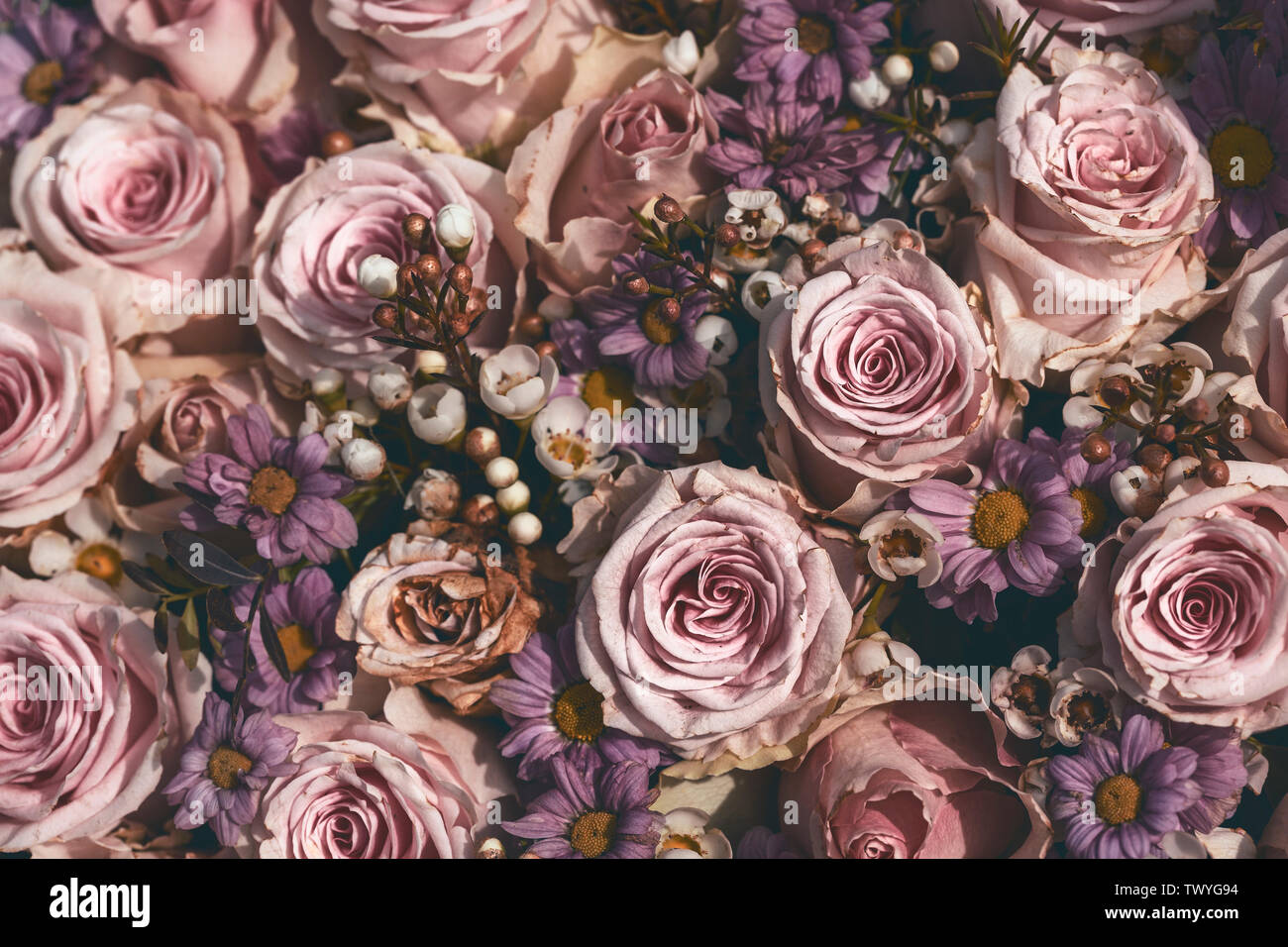 Pink Roses Not Fluffed Bouquet pink wilted roses hi-res stock photography and images - Alamy