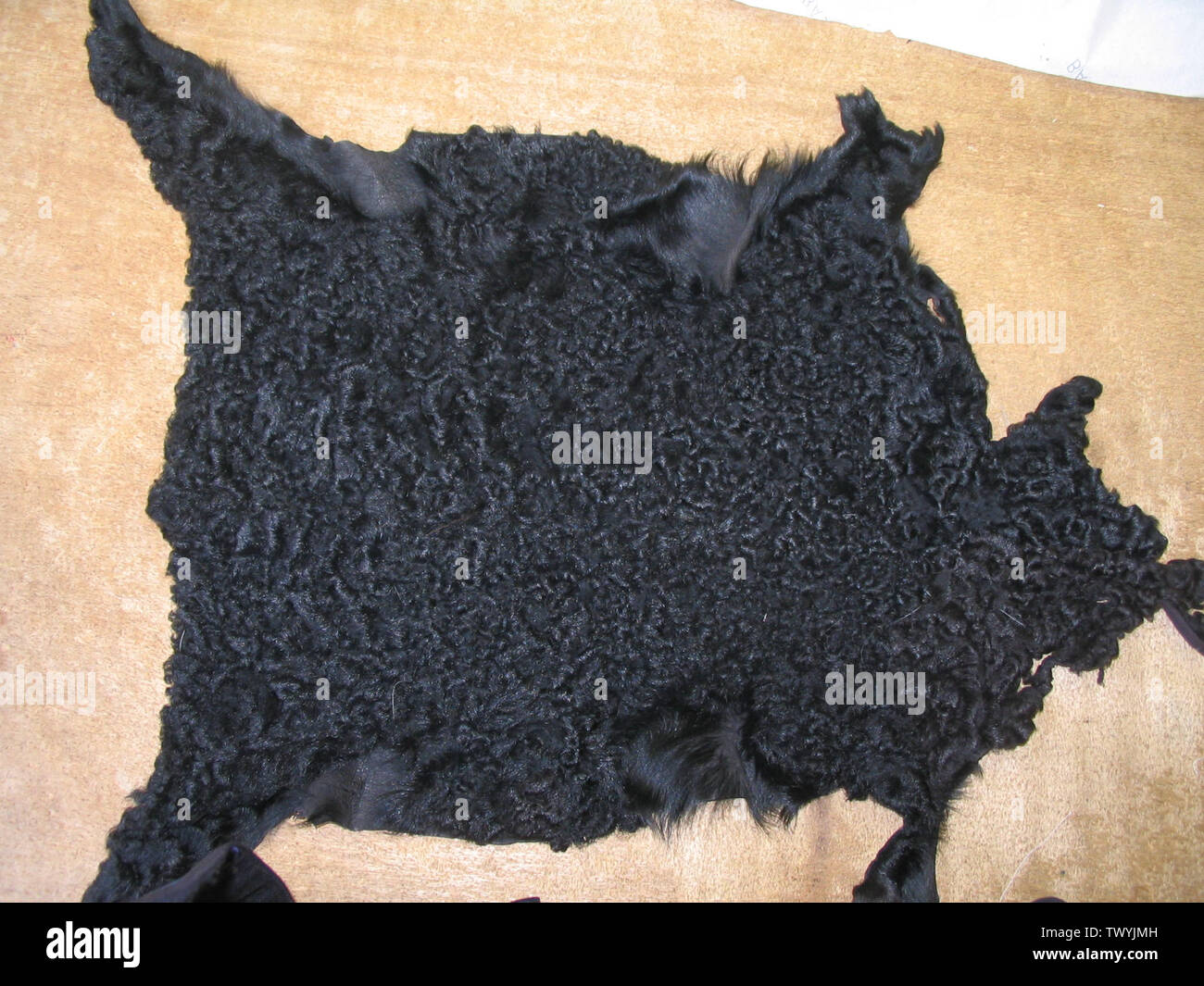 schwarze herrenhüte