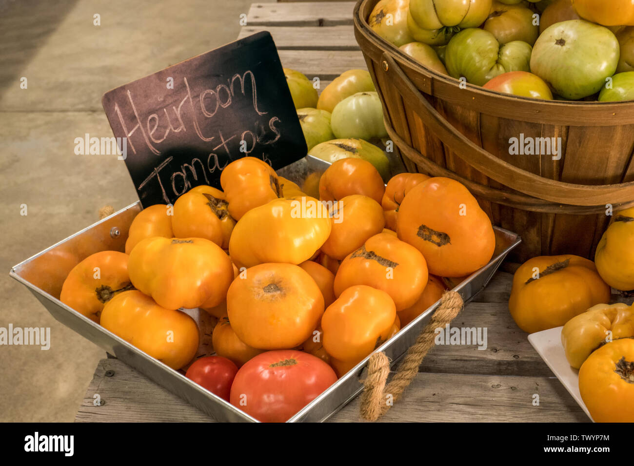 Wenatchee, Washington, USA. Bin and basket of freshly havested heirloom