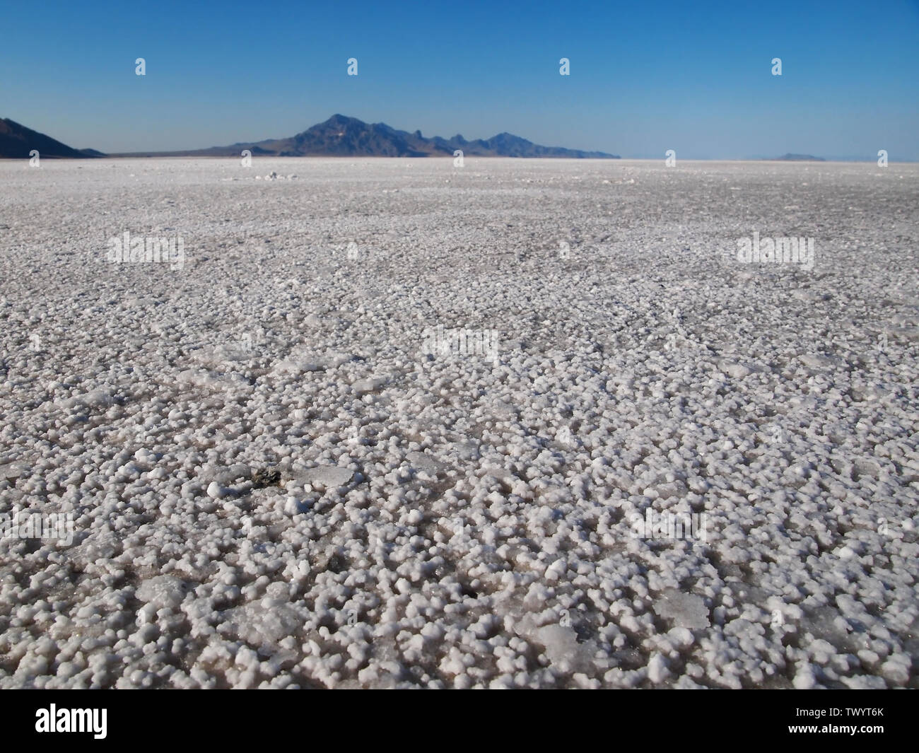 Closeup at ground level, looking out across the vast  Bonneville Salt Flats, with mountains far in the distance, the horizon appears to curve. Stock Photo
