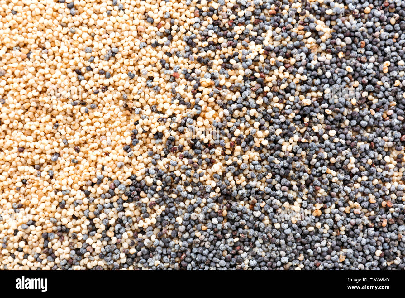 Many black and white poppy seeds as background Stock Photo Alamy