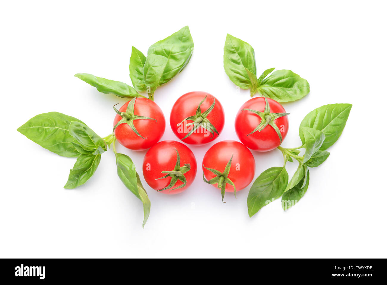 Fresh basil and tomato on white background Stock Photo - Alamy