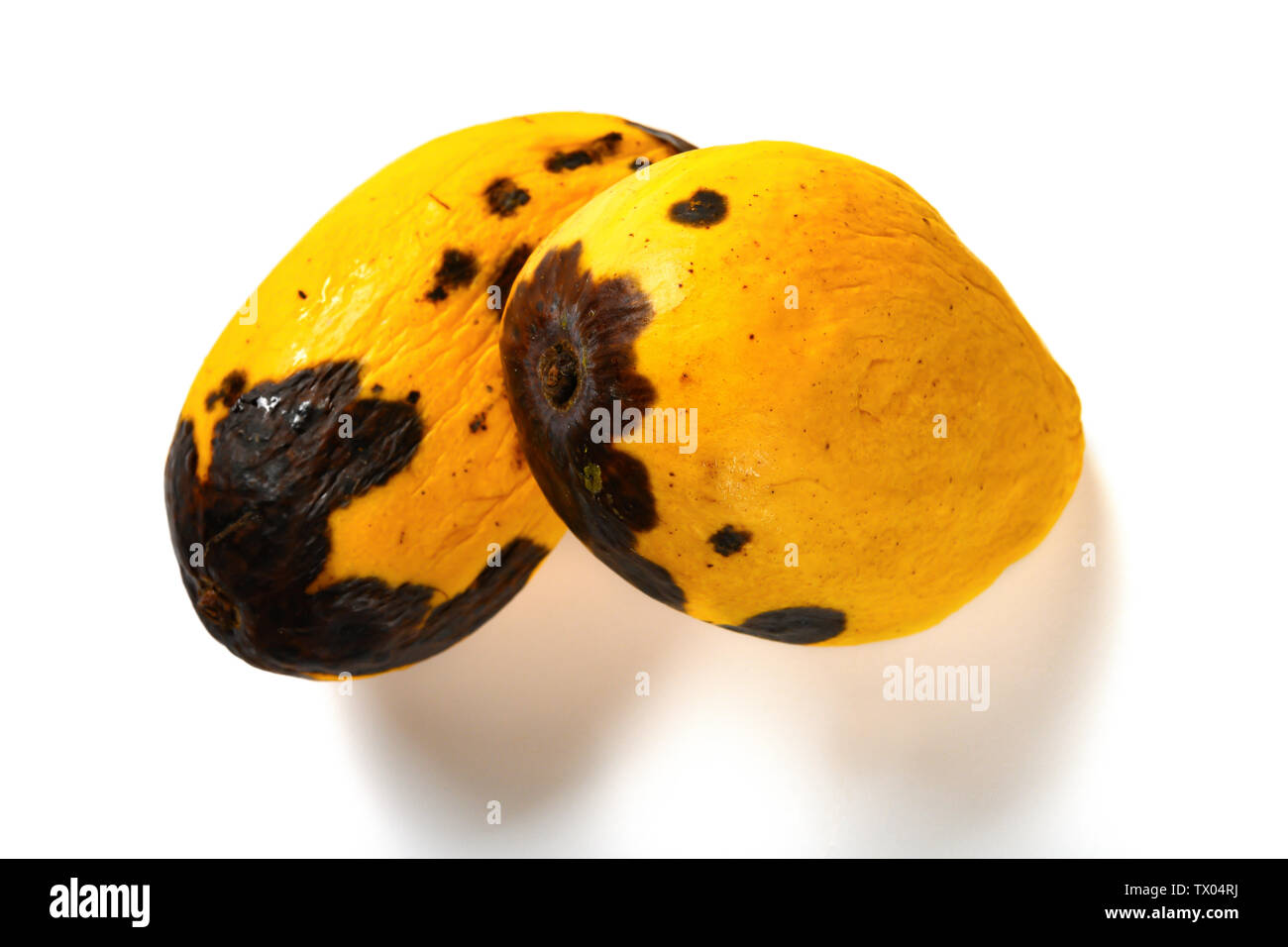 Top View Rotten Mango Image & Photo (Free Trial)