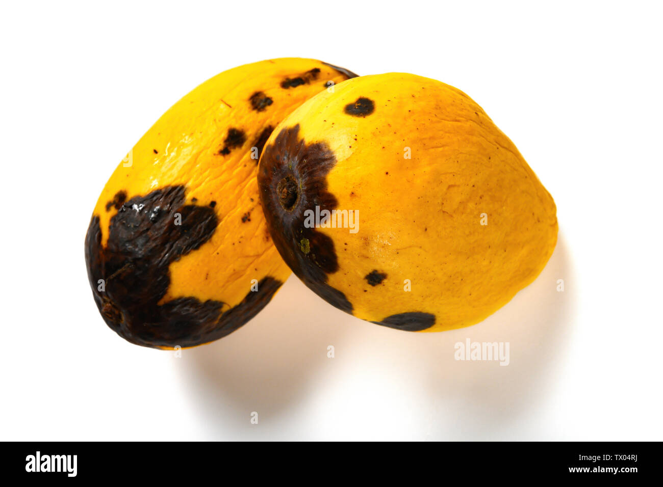 top view two pieces rotten mangos close up on a white background Stock  Photo - Alamy