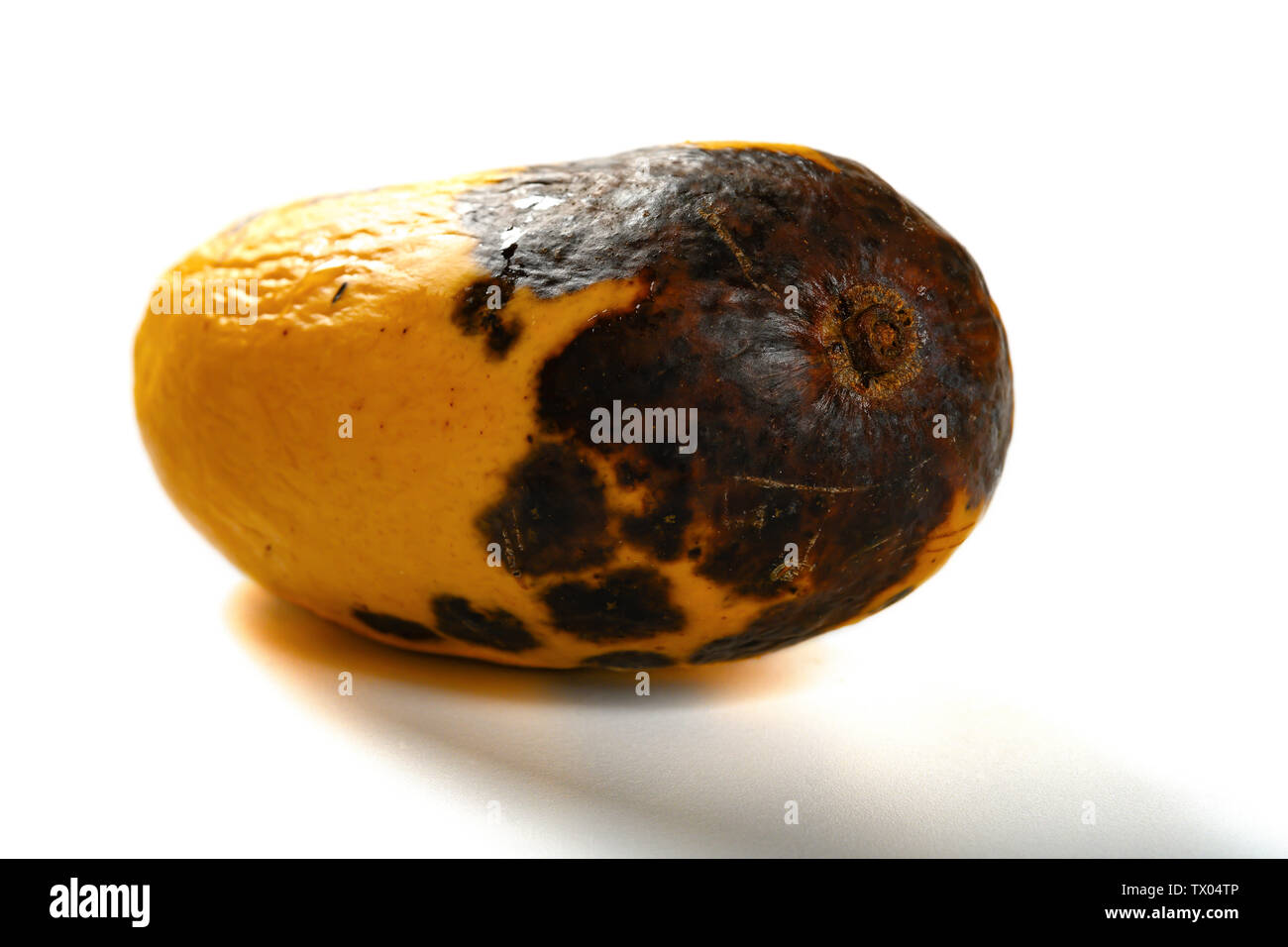 Rotten Mango Fruit Isolated On A White Stock Photo, Picture and Royalty  Free Image. Image 28898519.