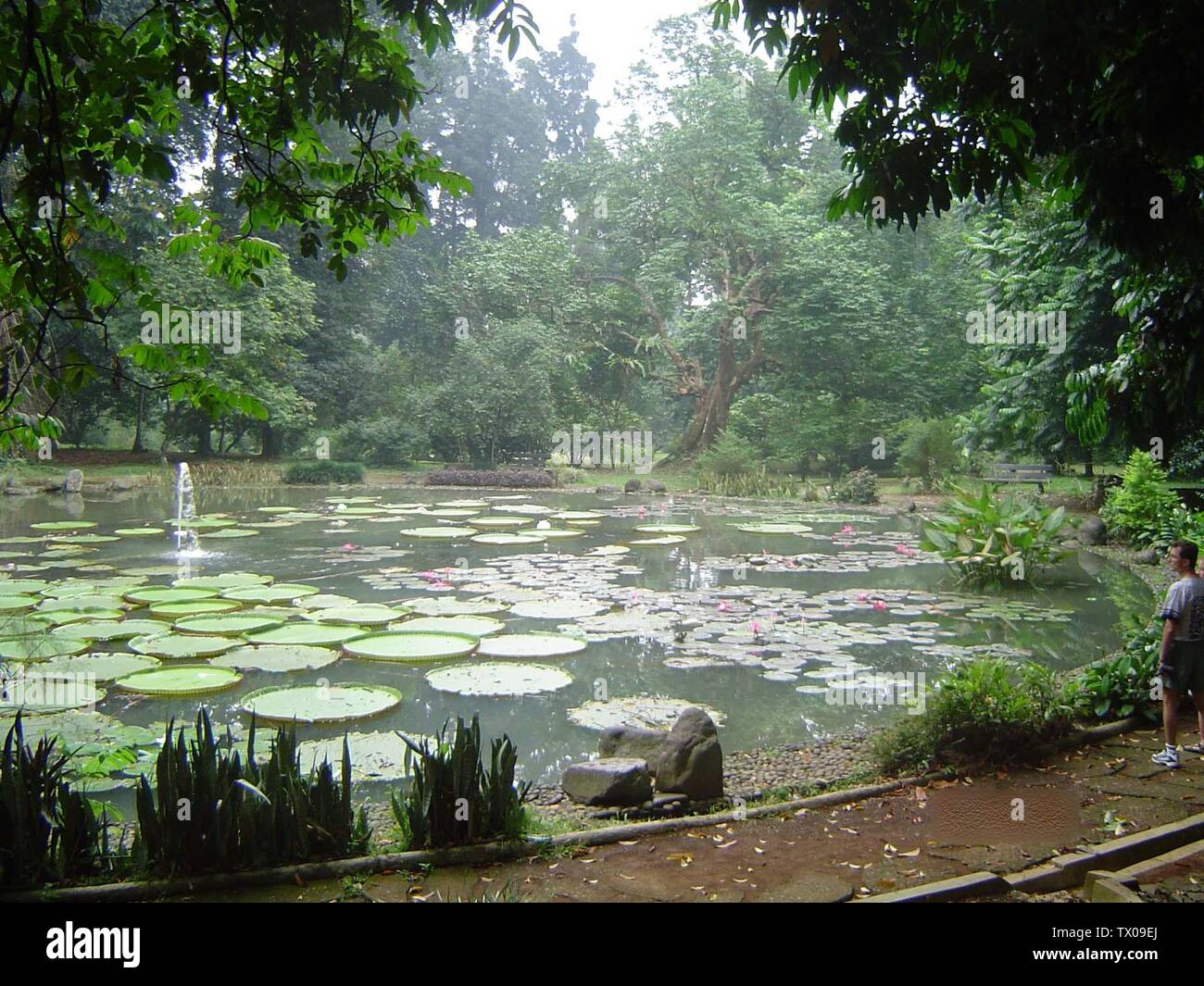 Bogor Indonesia High Resolution Stock Photography And Images Alamy