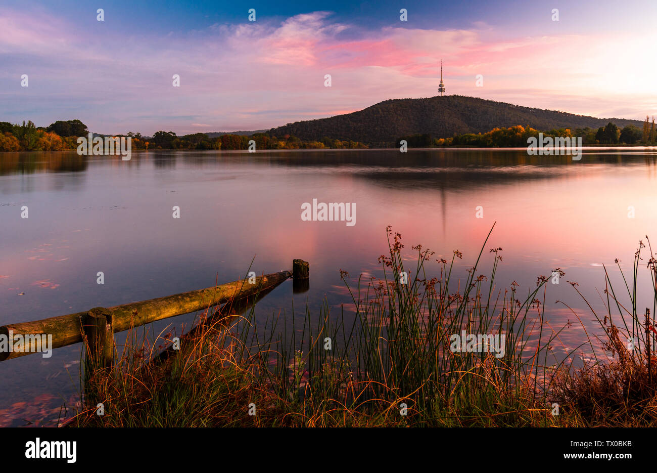Sunrise over Black Mountain Canberra Australia Stock Photo Alamy