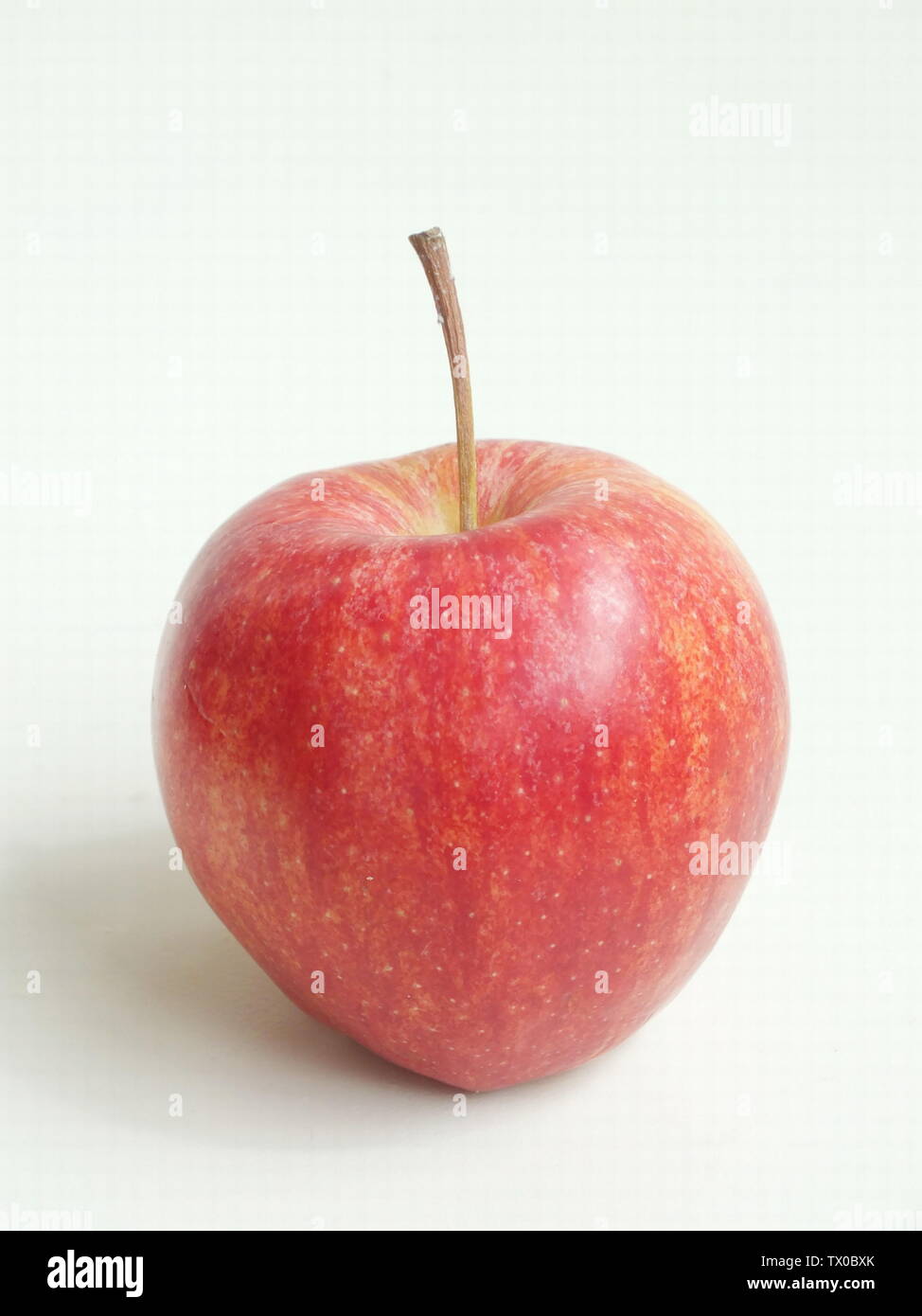 Green fruit, plant, red apple, apple, fruit, organic fruit Stock Photo