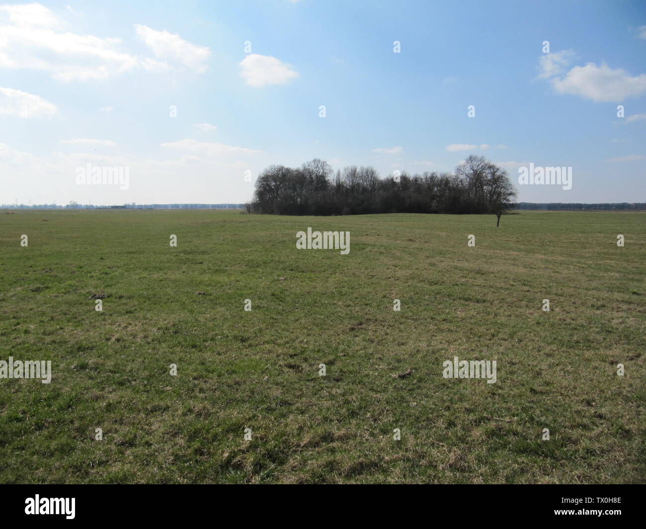With Thomas Stein Hi Res Stock Photography And Images Alamy