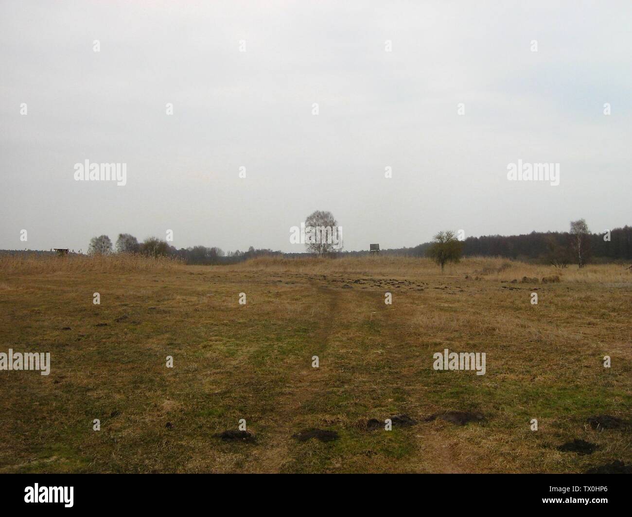 Der burgwall hires stock photography and images Alamy