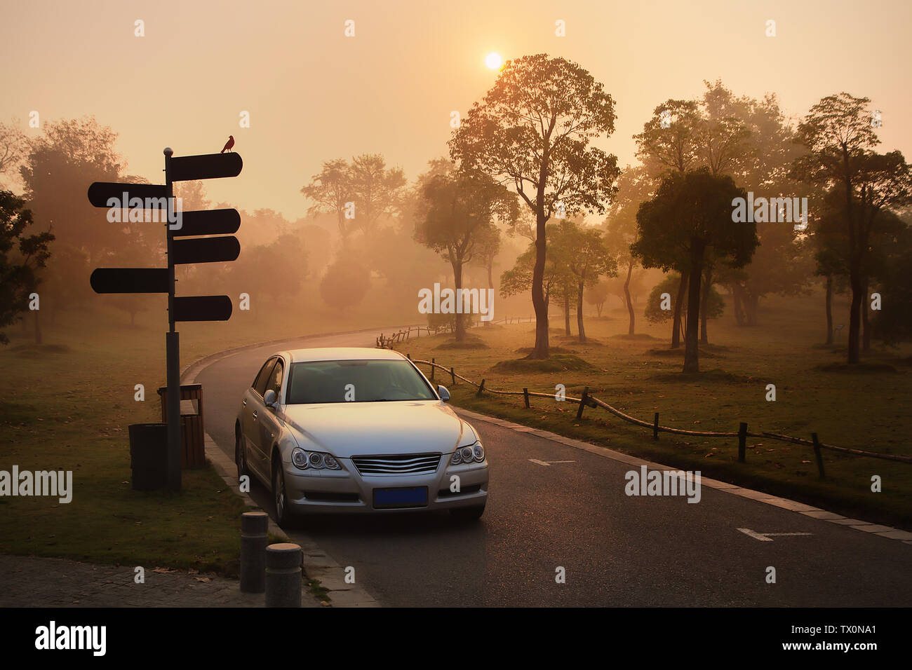 Road signs in fog at sunrise hi-res stock photography and images - Alamy