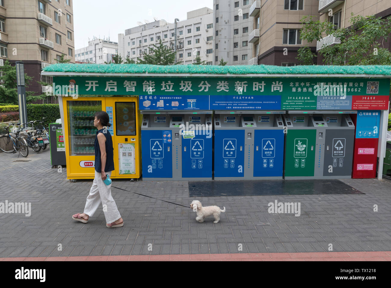 A woman walks a dog past the smart garbage-sorting dustbins in a residential compound in Beijing, China. Jun 23, 2019 Stock Photo