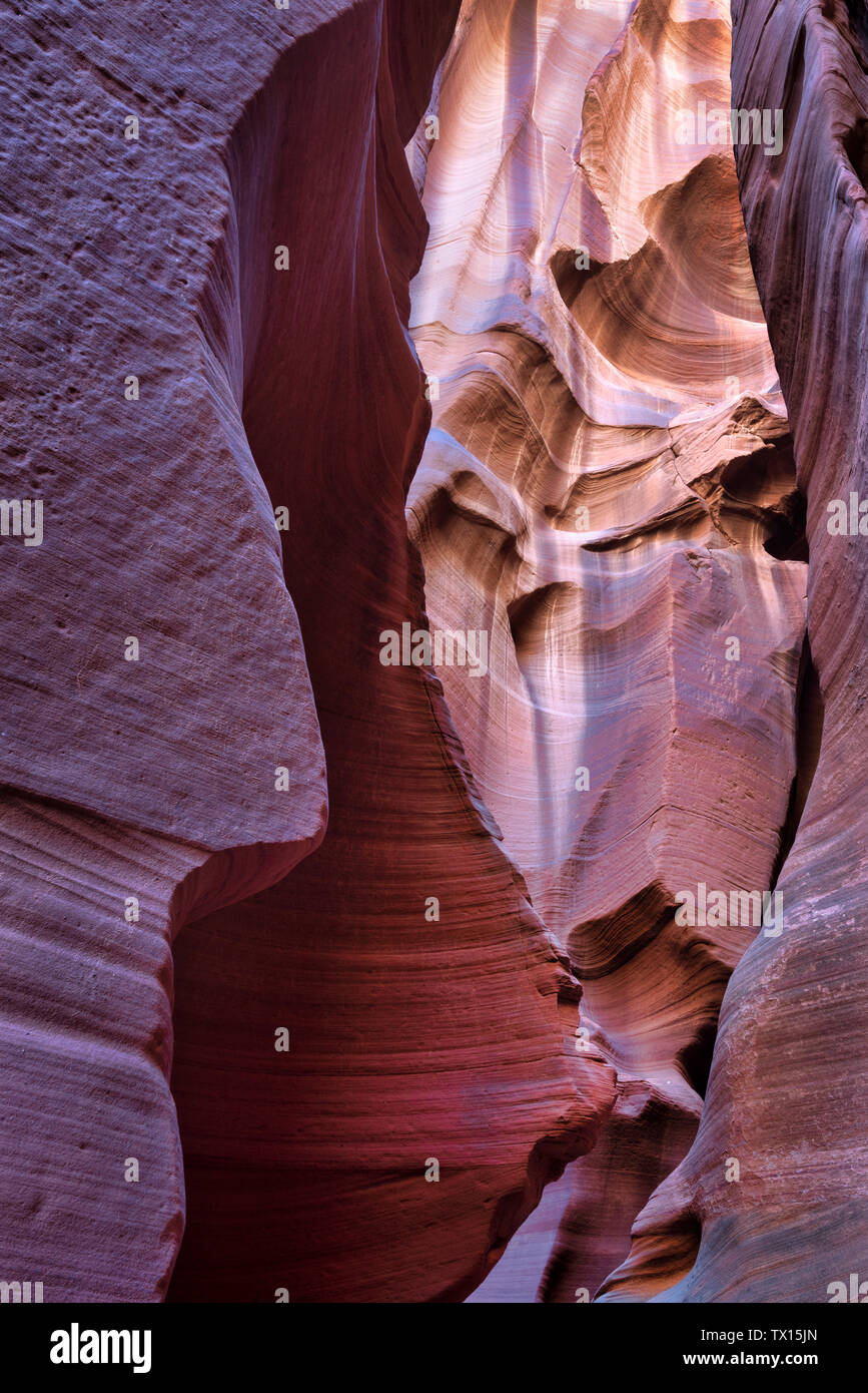Red stone canyon x hi-res stock photography and images - Alamy