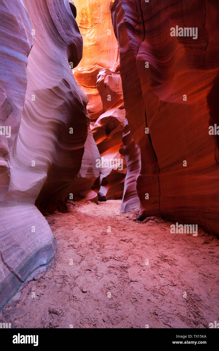 Red stone canyon x arizona hi-res stock photography and images - Alamy