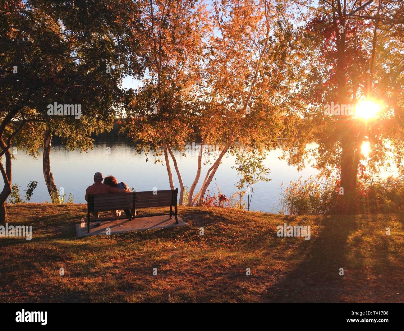 Old married couple sitting on a bench at a park and enjoying the ...