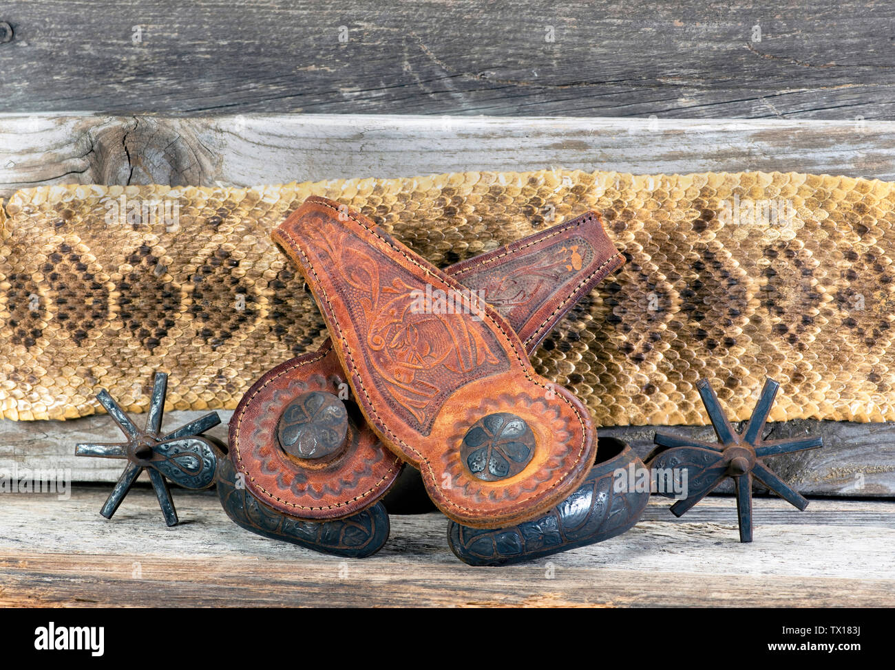 Antique Mexican spurs with rattlesnake skin background and room for your type. Stock Photo