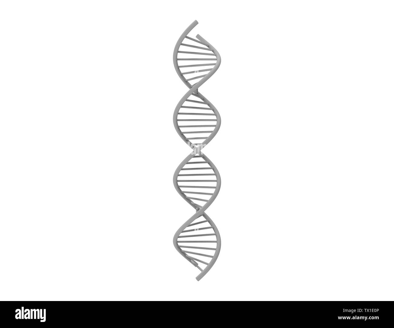 3d rendering of a DNA string isolated in white background Stock Photo ...