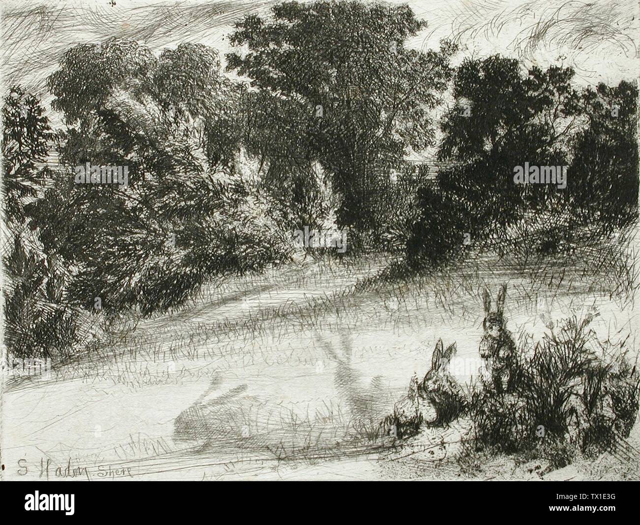 Combe Bottom;  England, 1860 Prints; etchings Etching and drypoint Format: 6 1/4 x 8 3/5 in. (15.88 x 21.84 cm); image: 4 1/2 x 5 7/8 in. (11.43 x 14.92 cm) Mr. and Mrs. Allan C. Balch Collection (M.45.3.528) Prints and Drawings; 1860date QS:P571,+1860-00-00T00:00:00Z/9; Stock Photo
