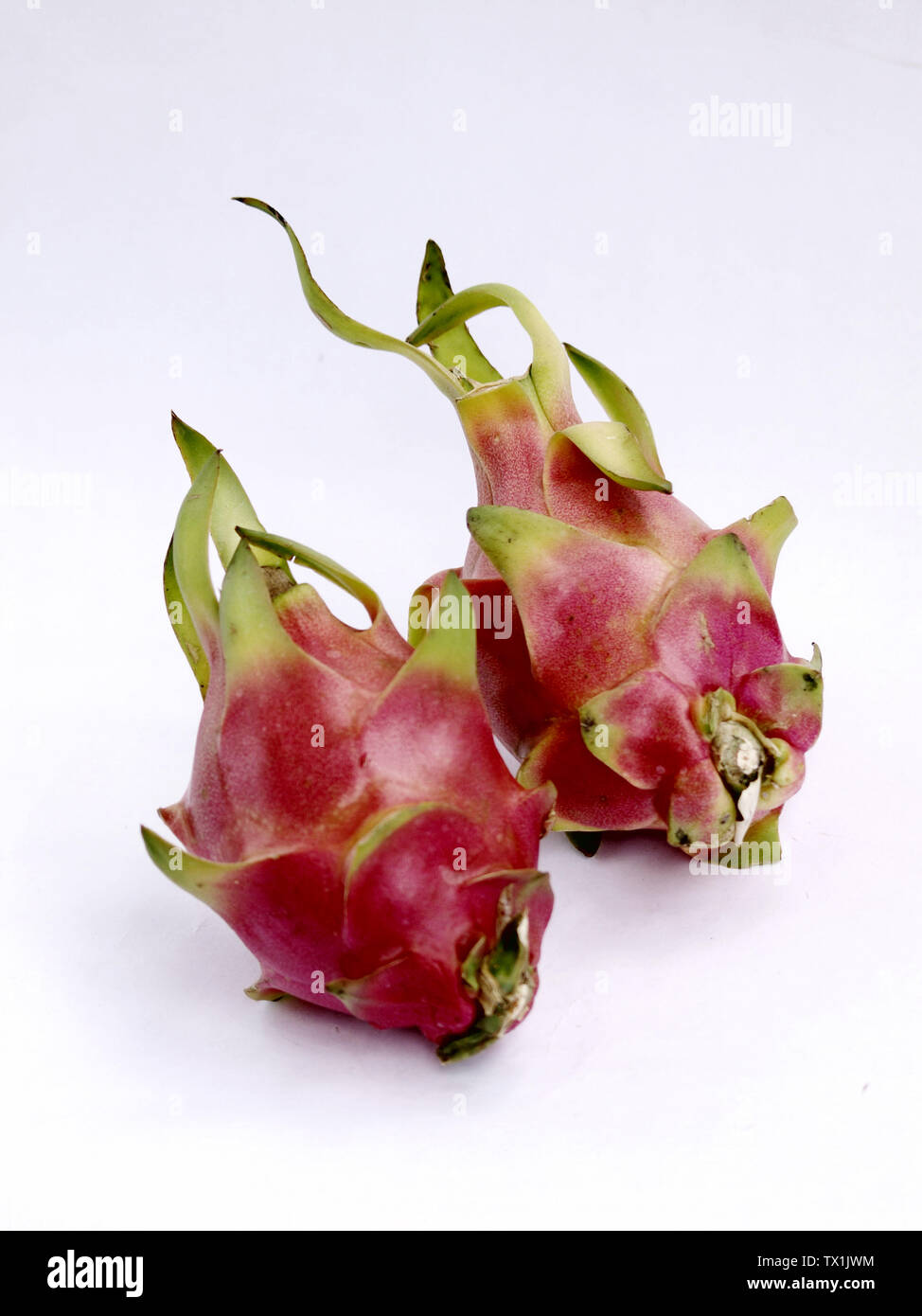 Dragon Fruit Fresh Fruit Tropical Fruit Vitamin Fresh Dragon Fruit