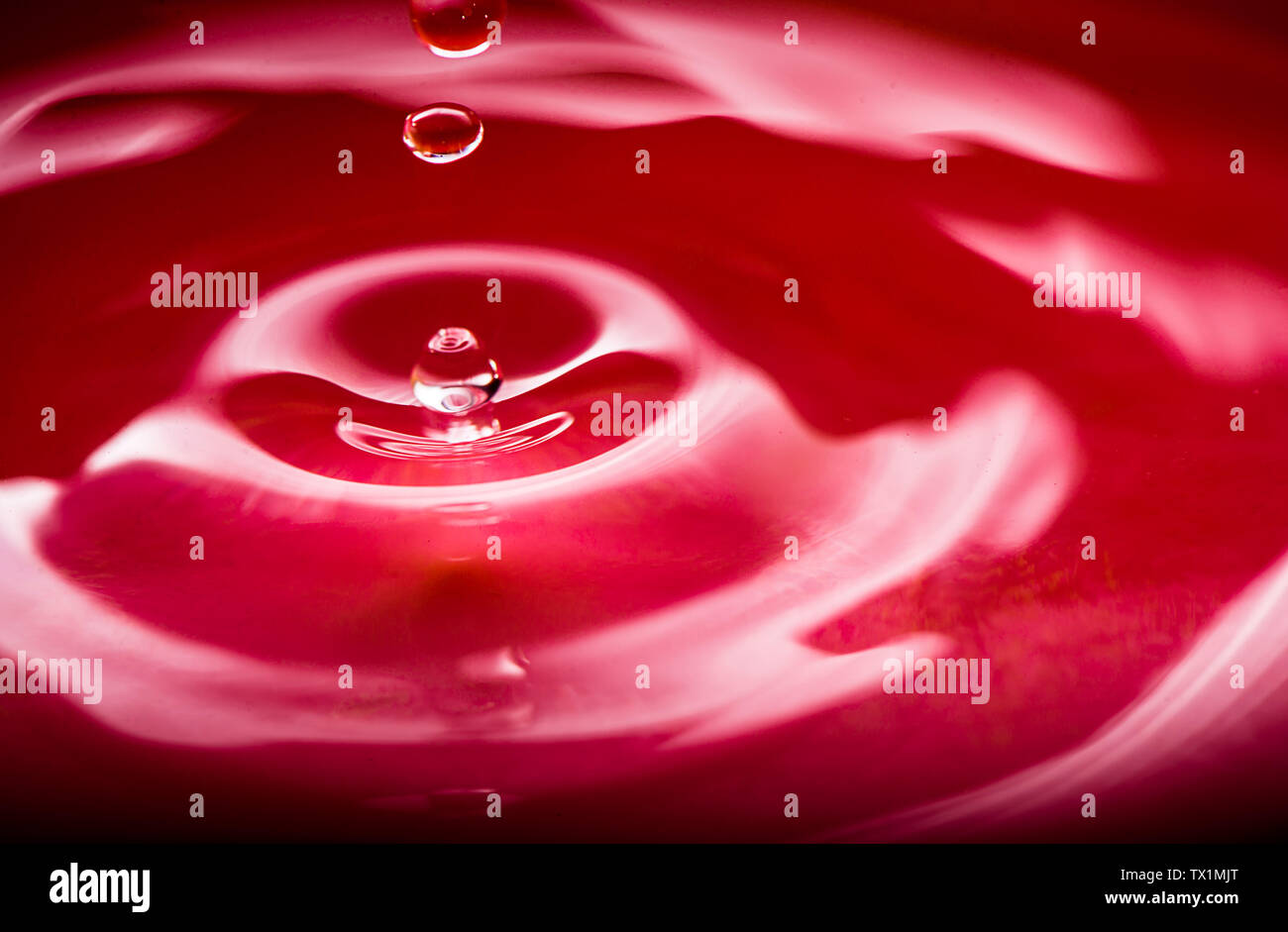 Red Dropplets Red droplets of flower language Stock Photo - Alamy