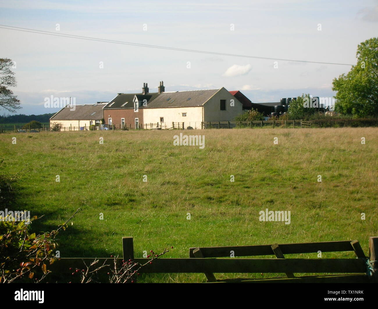 Crossgates hires stock photography and images Alamy