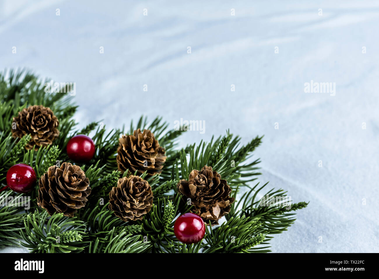 Christmas tree and snow Stock Photo