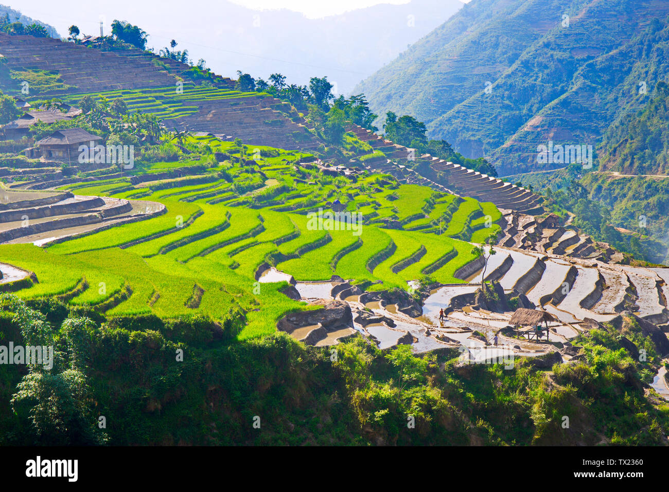 Farmers harrowing fields hi-res stock photography and images - Alamy