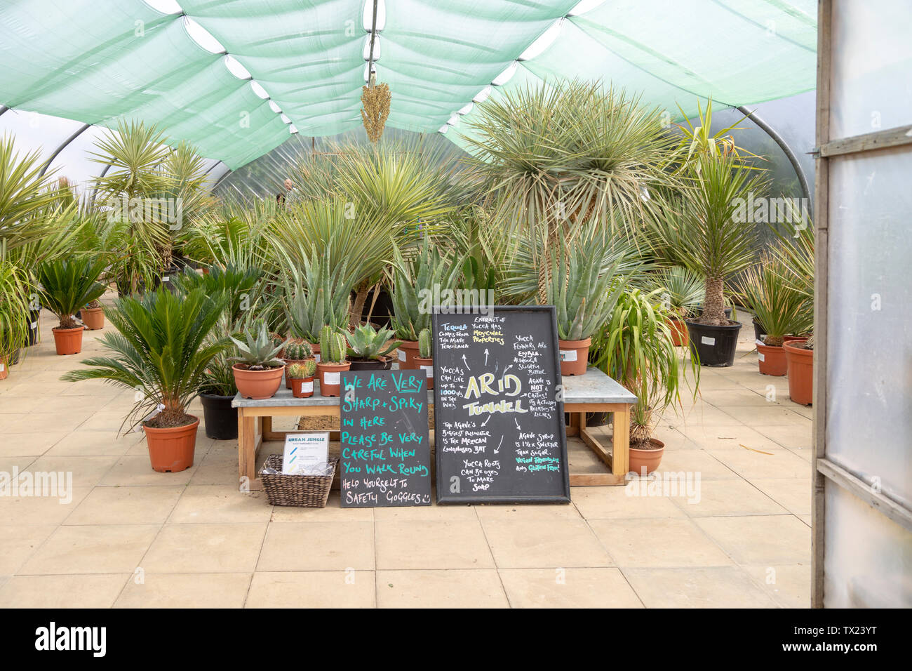 Urban jungle hires stock photography and images Alamy