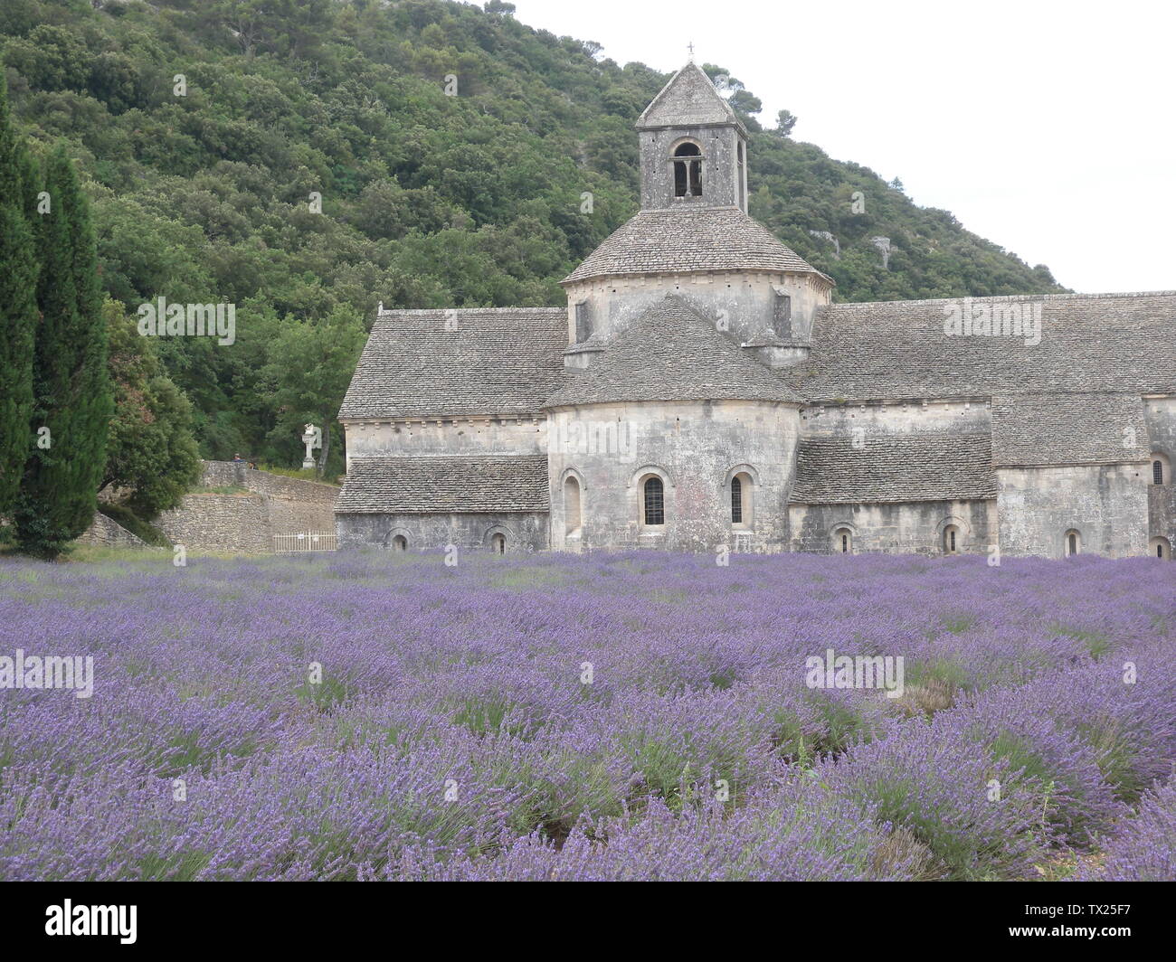 Senanques hires stock photography and images Alamy