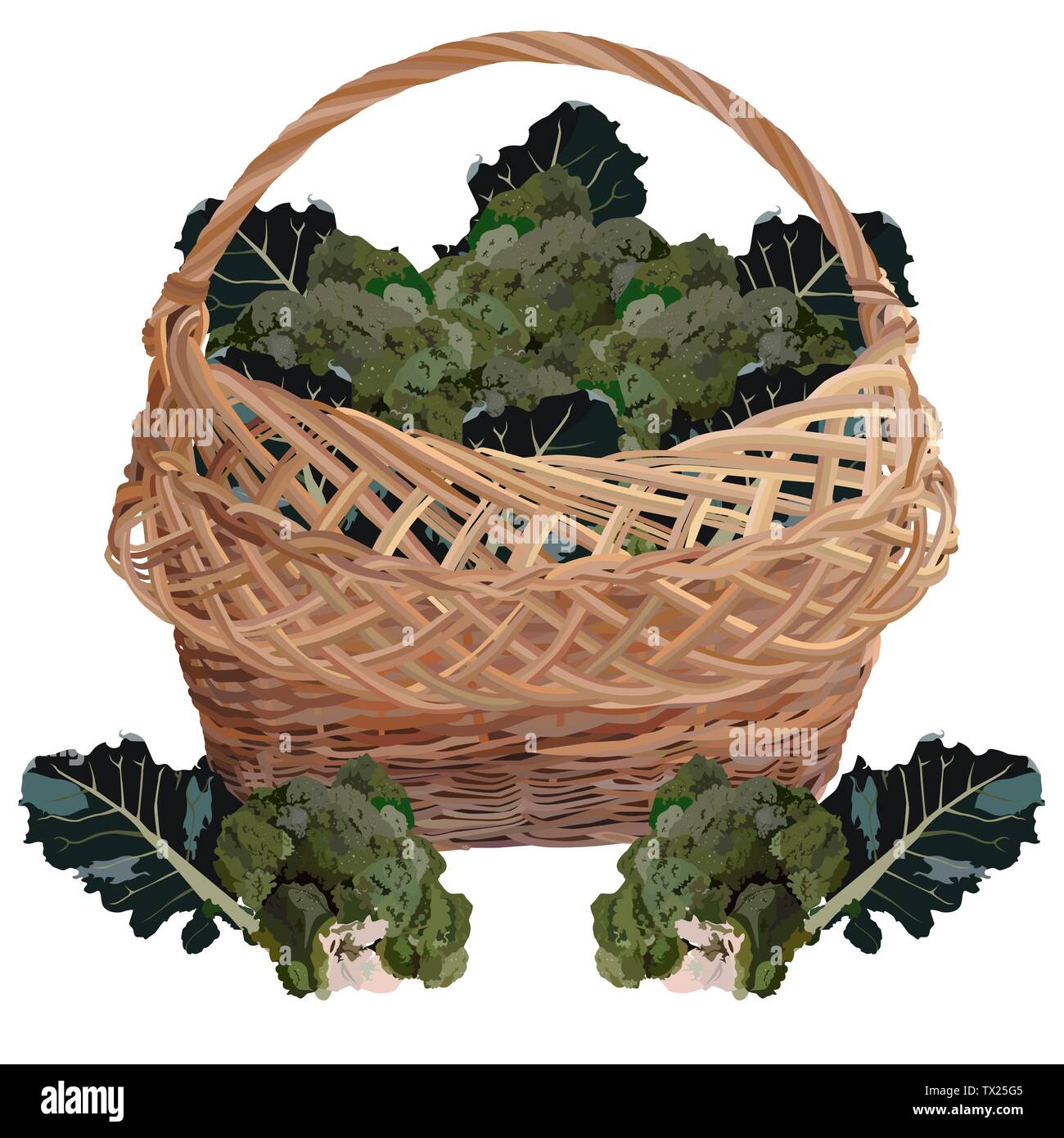Wicker basket full of fresh broccoli, vector isolated illustration Stock Vector