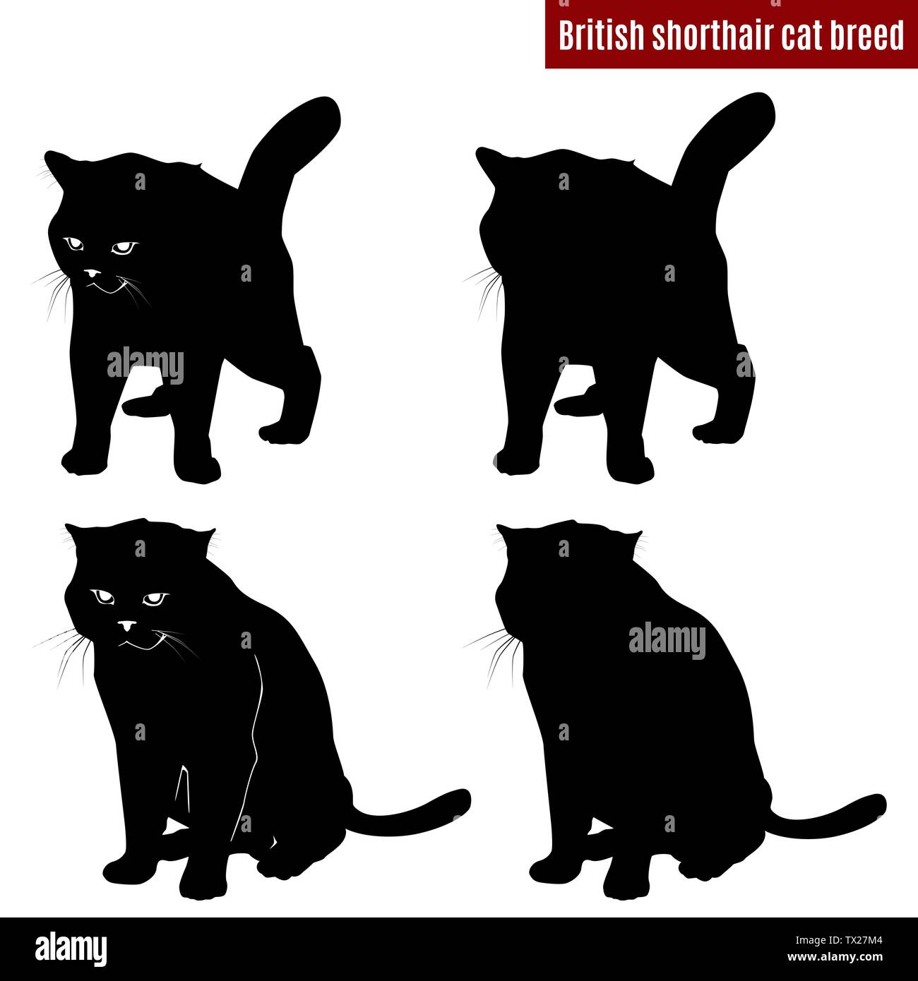 Cat Black Silhouettes On White Background Vector Illustration