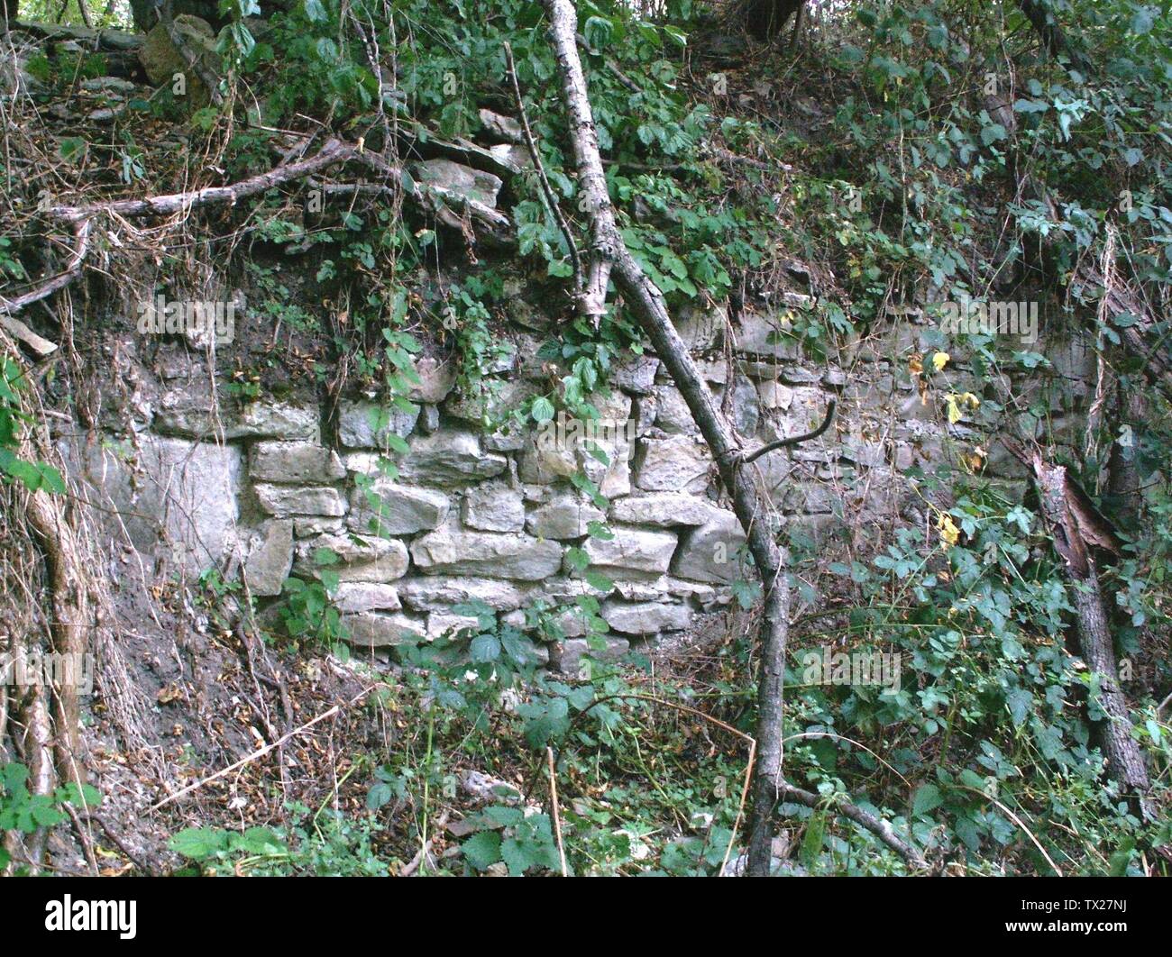 Bg 12 High Resolution Stock Photography And Images Alamy