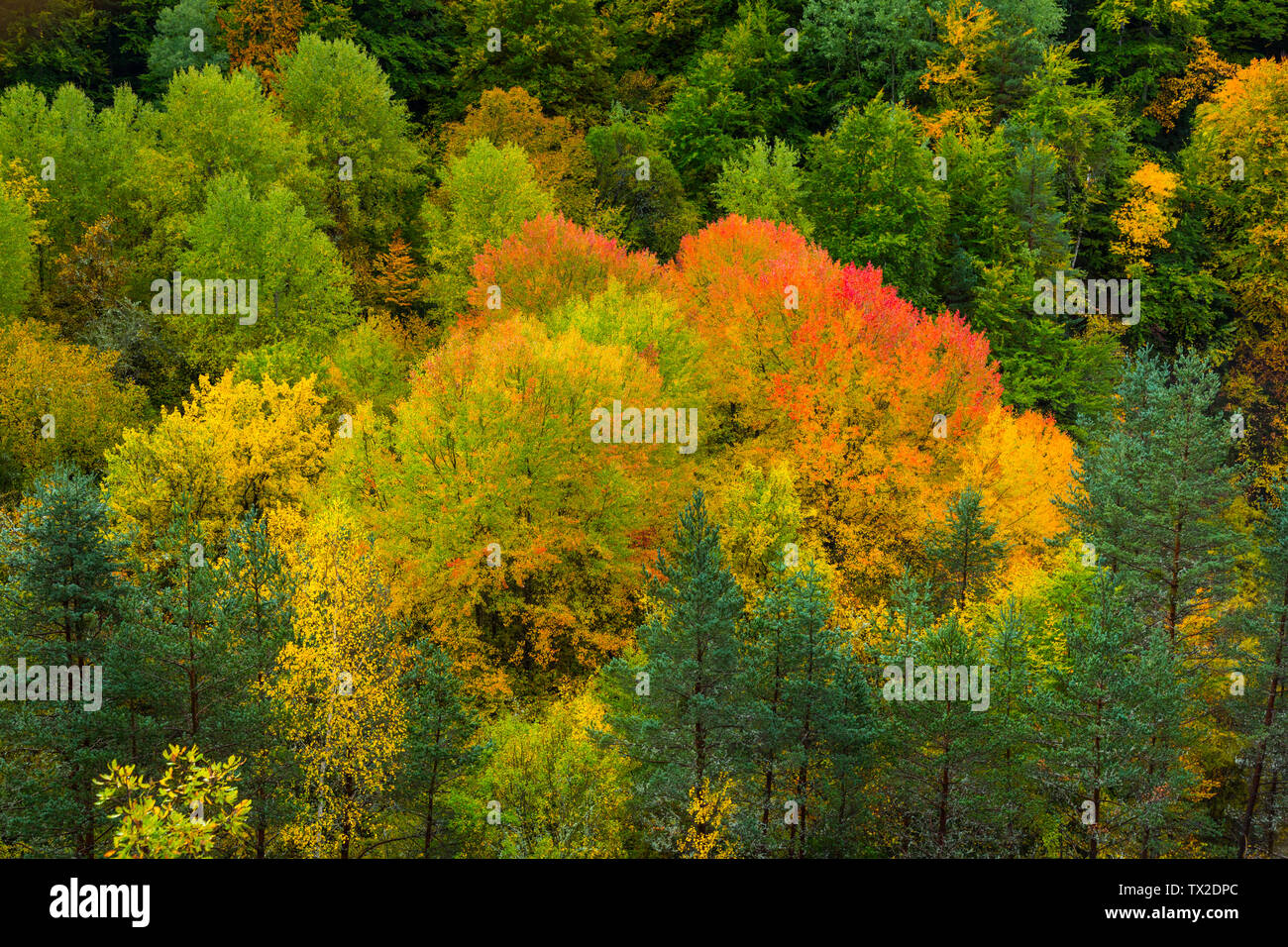 Parque national y monte perdido hi-res stock photography and images - Alamy