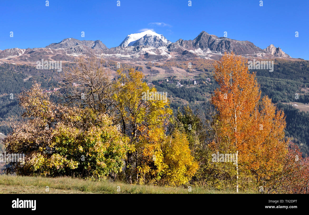 trees with beautiful autumnal colors in front of rocky mountain and ...