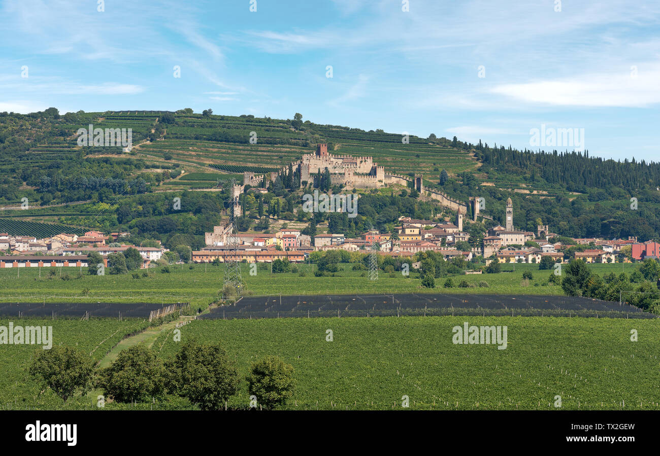 The medieval village of Soave near Verona with the castle, the green hills and the famous vine cultivation, Veneto, Italy, Europe Stock Photo