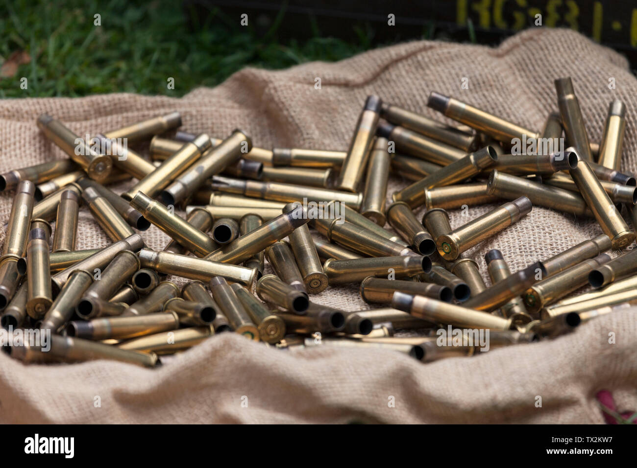 Spent 303 Bullet Cartridges Stock Photo