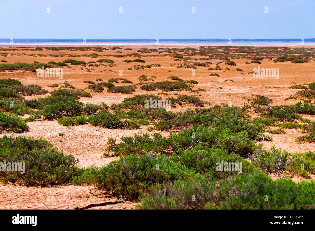 Landscape with dry cracked takir soil in semi-desert in Russia Stock Photo