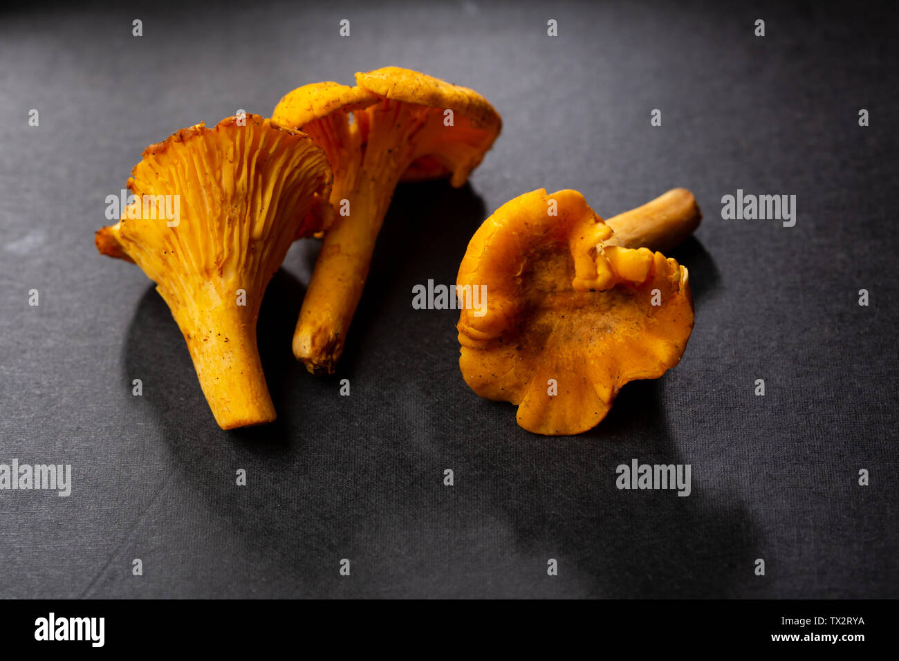 Forest chanterelles mushrooms on black background Stock Photo Alamy