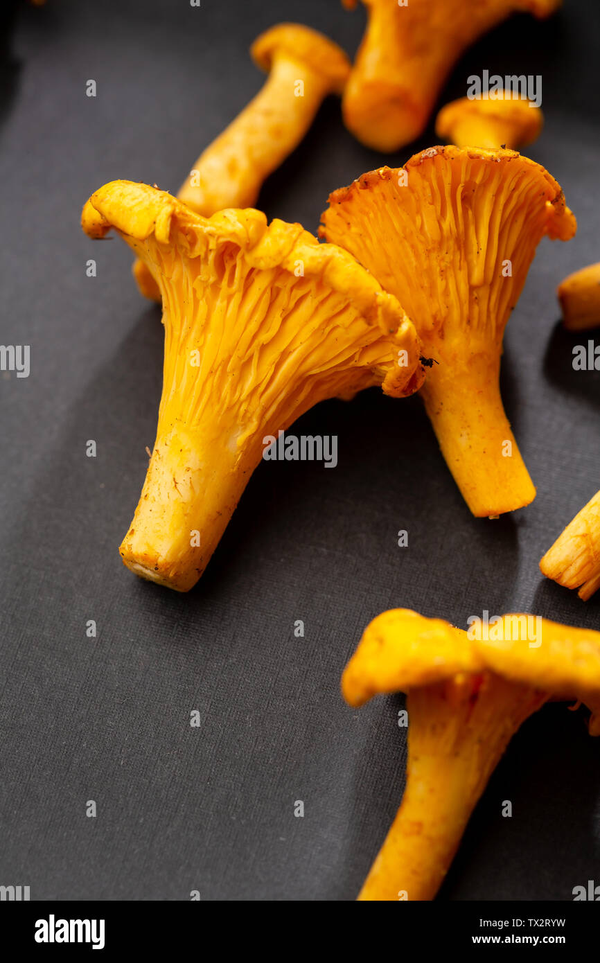 Fresh chanterelles mushrooms on black background Stock Photo Alamy