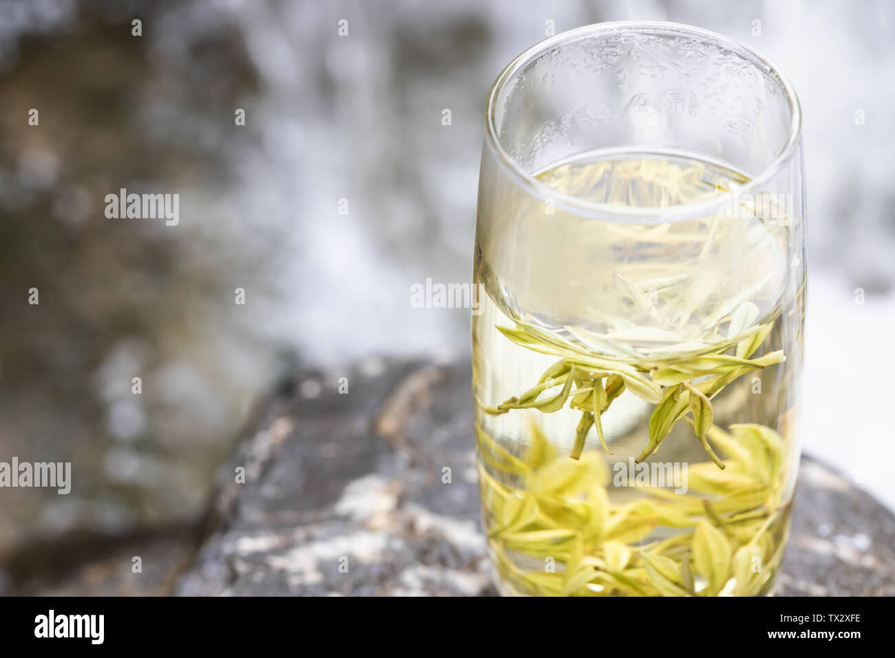 Garden angelica tea hires stock photography and images Alamy