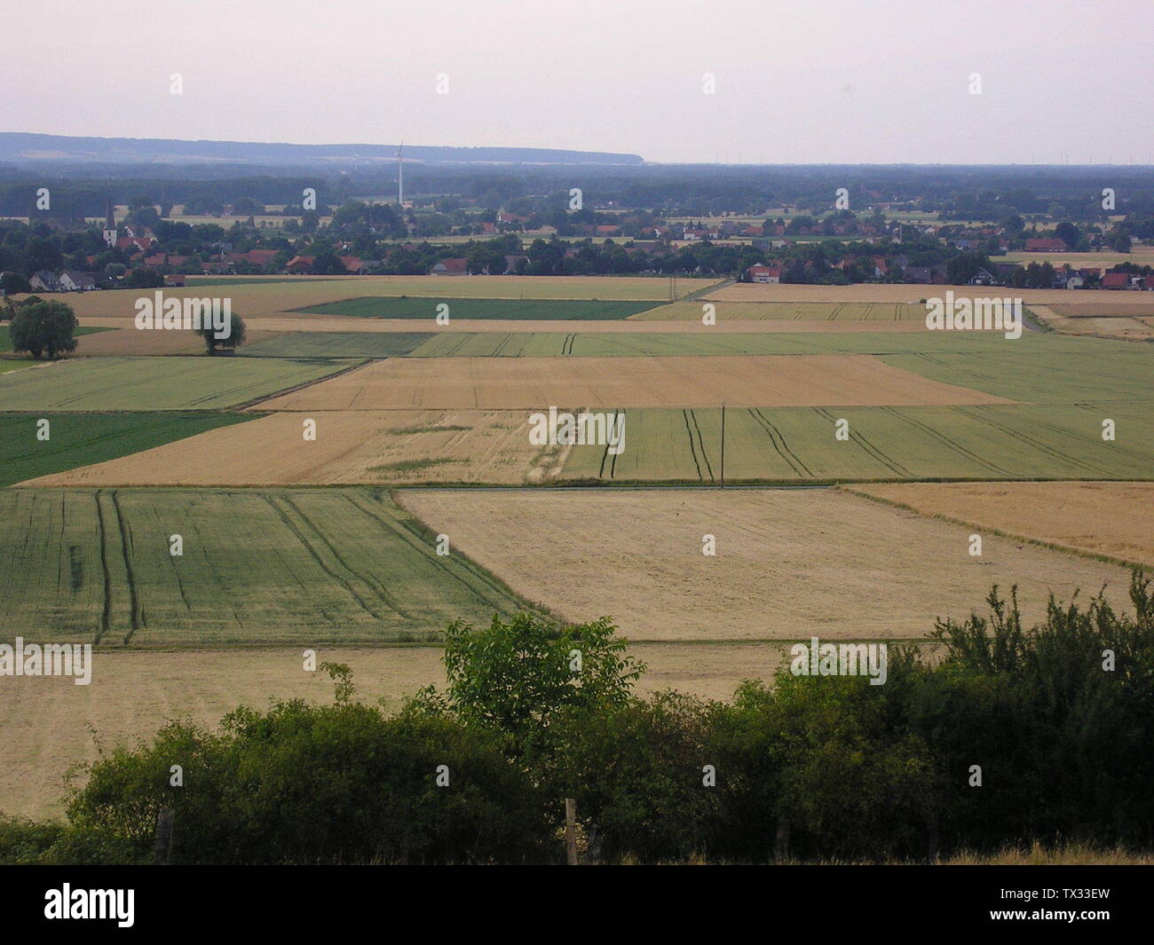 Das Erkennen High Resolution Stock Photography and Images - Alamy