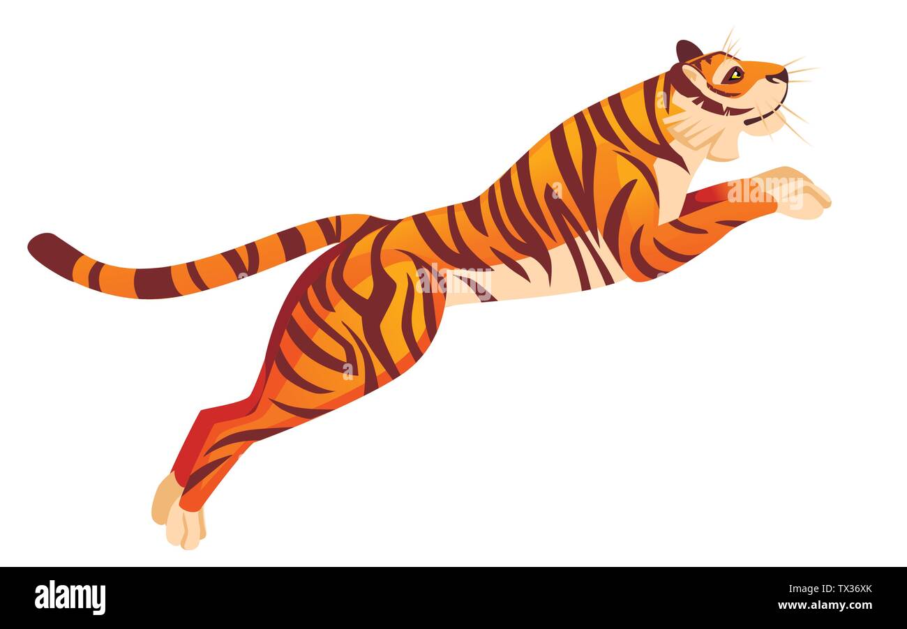 Adult big red tiger jumping from ground wildlife and fauna theme cartoon  animal design flat vector illustration isolated on white background Stock  Vector Image & Art - Alamy
