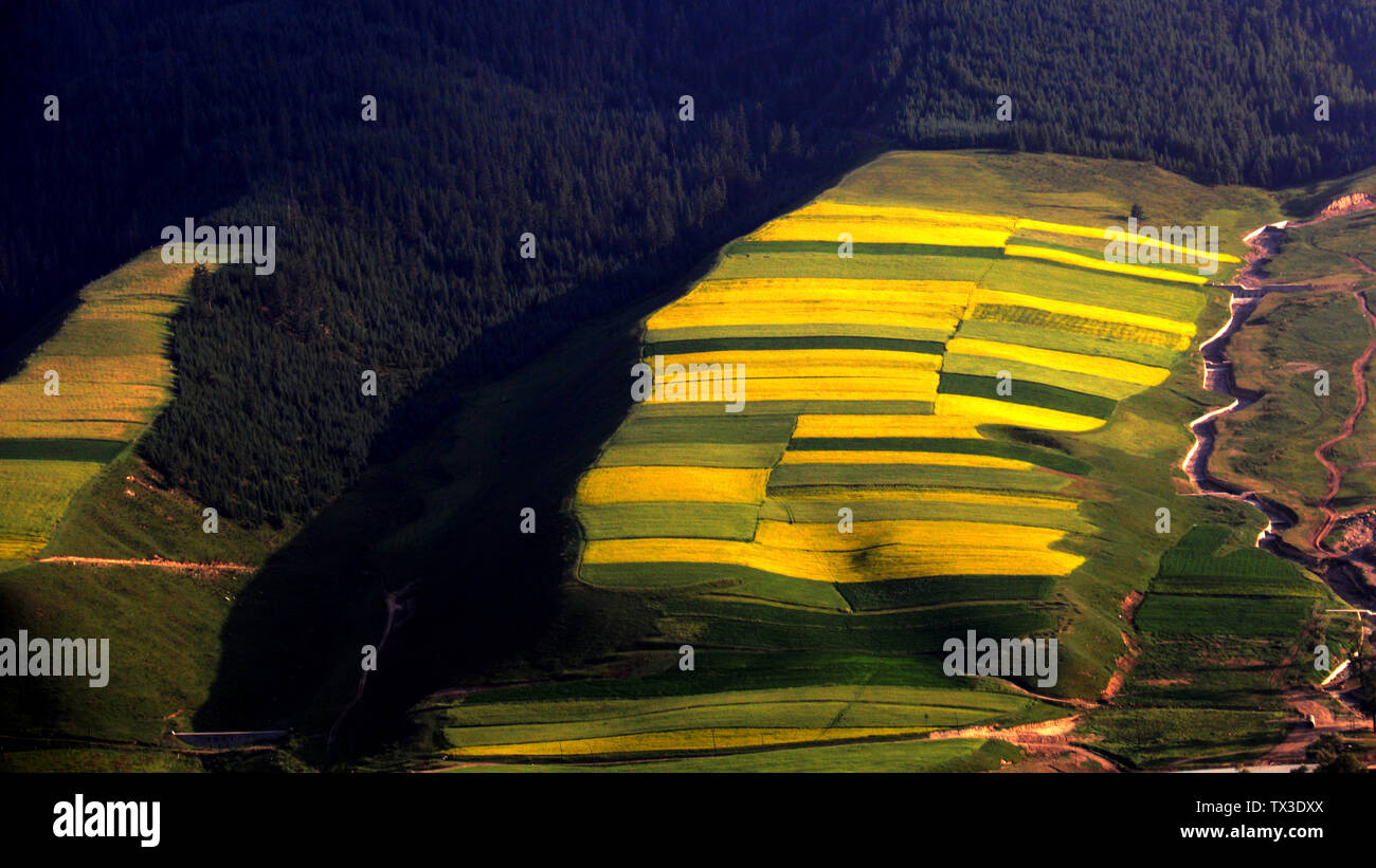 The skin of the earth Stock Photo Alamy