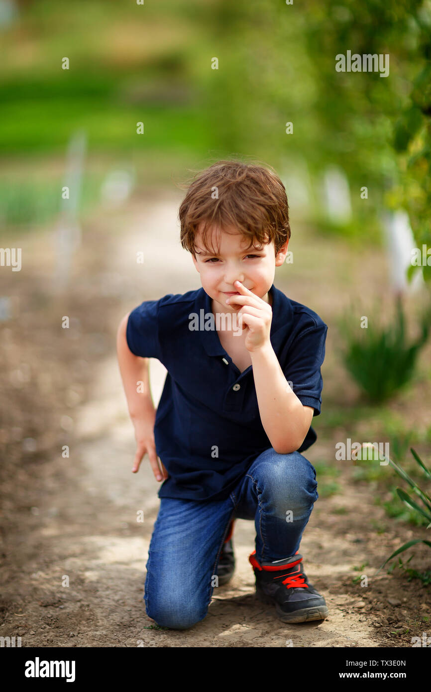 5 year old boy outdoor in the orchard in summer. Stock Photo