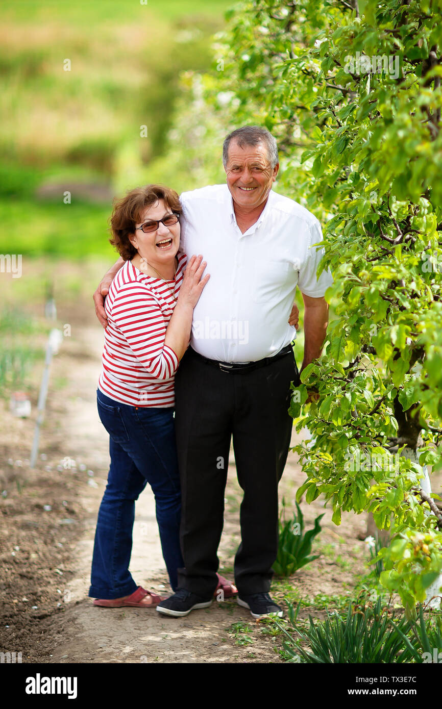 Senior couple outdoor in the orchard in summer. Stock Photo