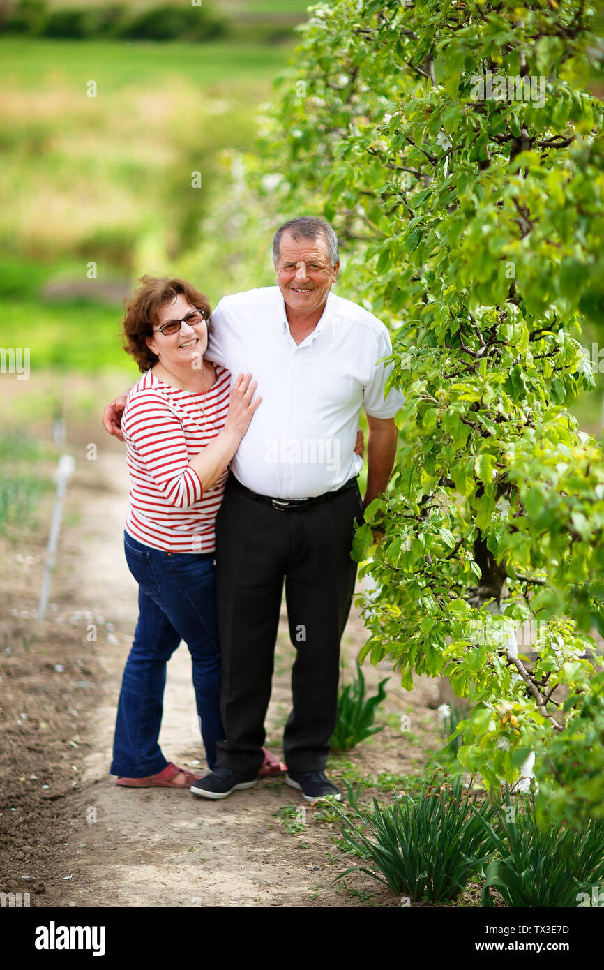 Senior couple in the orchard in summer. Stock Photo