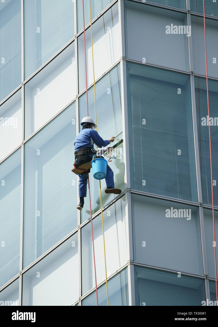 Harnessed window washer cleaning highrise windows Stock Photo